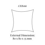 CER166 Small Cushion